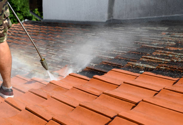 Roof Power Washing Services in Horn Lake, MS