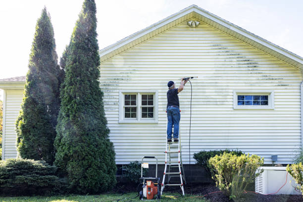 Best Commercial Building Pressure Washing  in Horn Lake, MS