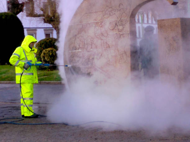 Best Roof Power Washing Services  in Horn Lake, MS